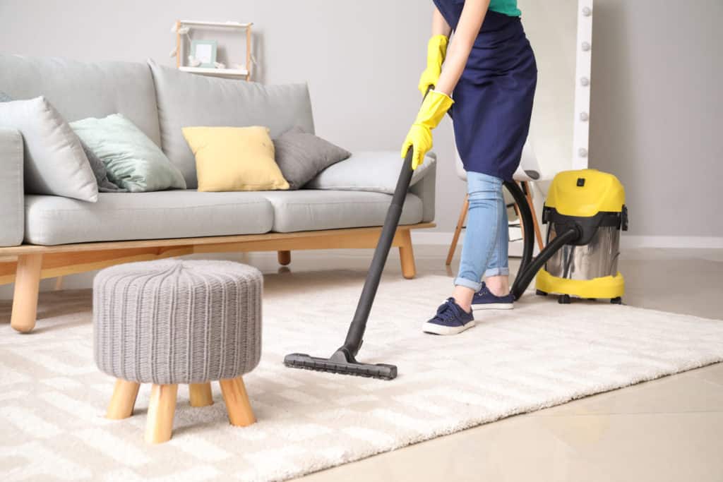 Nettoyage jardinage petits travaux 1 - Landerneau Lesneven